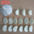 Pure white and Normal White Garlic